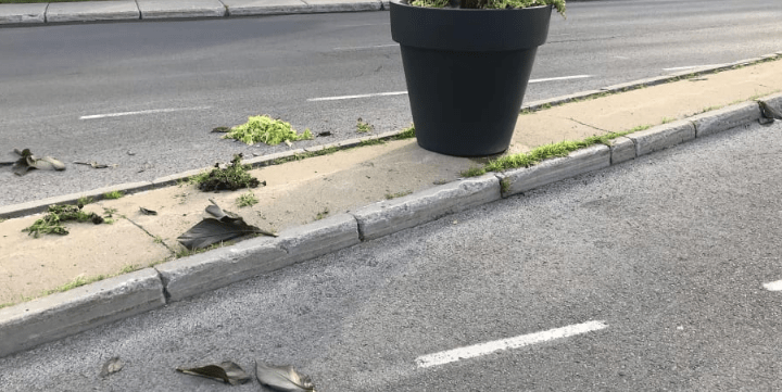 Vandalisme sur les pots de fleurs de rue