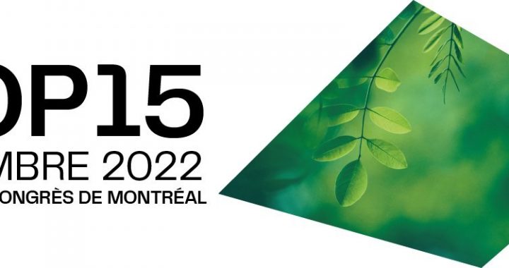15e Conférence des Parties: Montréal accueille le monde