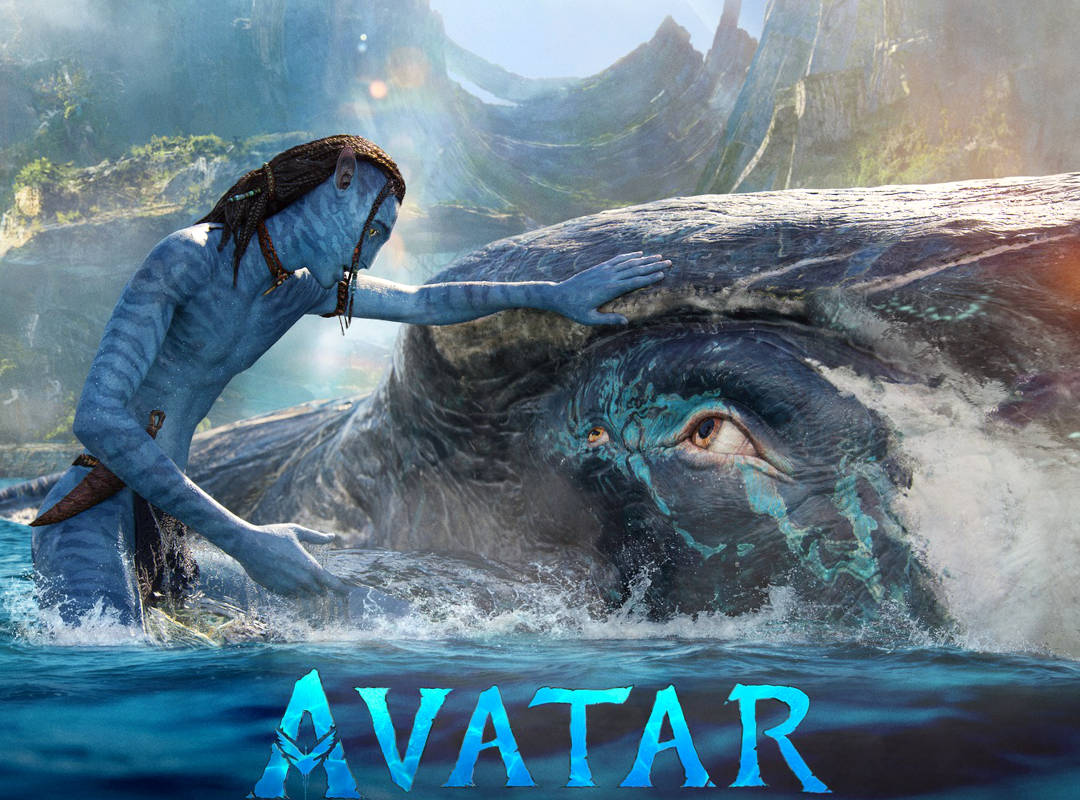 Avatar 2 a enfin une date de sortie en DVD et Bluray  Premierefr