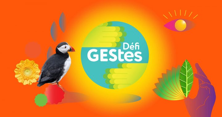 La seconde édition du Défi GEStes est lancée avec une nouvelle appli mobile!